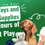 Explore the Best Dog Toys and Pet Supplies for Hours of Pet Play