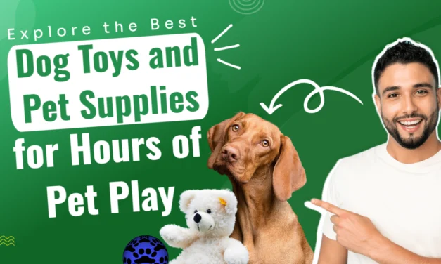 Explore the Best Dog Toys and Pet Supplies for Hours of Pet Play