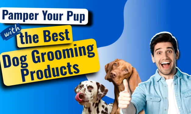 Pamper Your Pup with the Best Dog Grooming Products