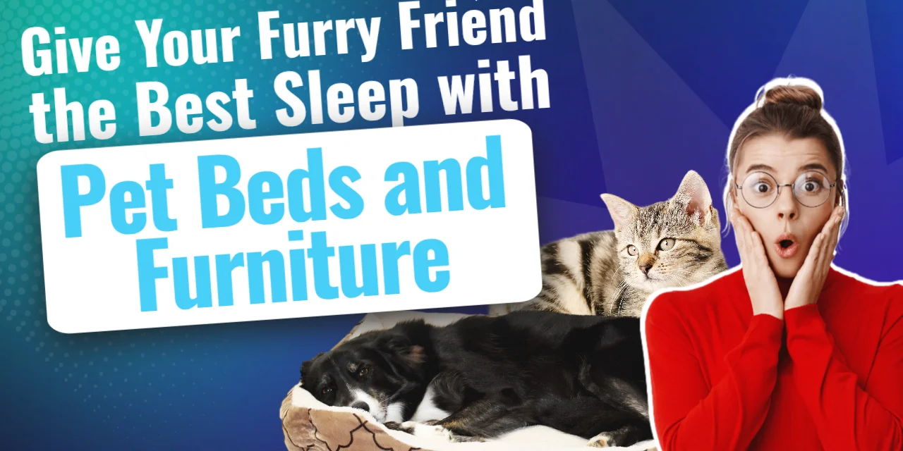 Give Your Furry Friend the Best Sleep with Pet Beds and Furniture