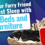 Give Your Furry Friend the Best Sleep with Pet Beds and Furniture